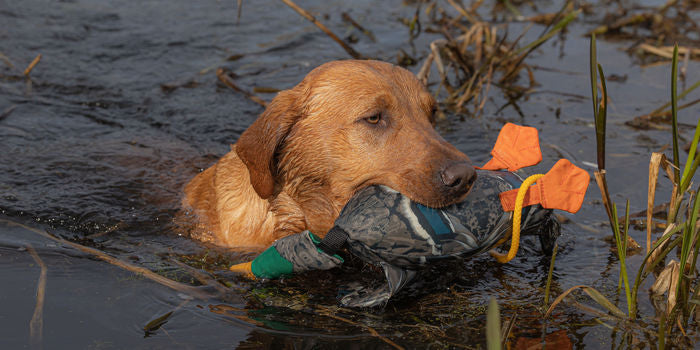 Dead bird dummy mallard